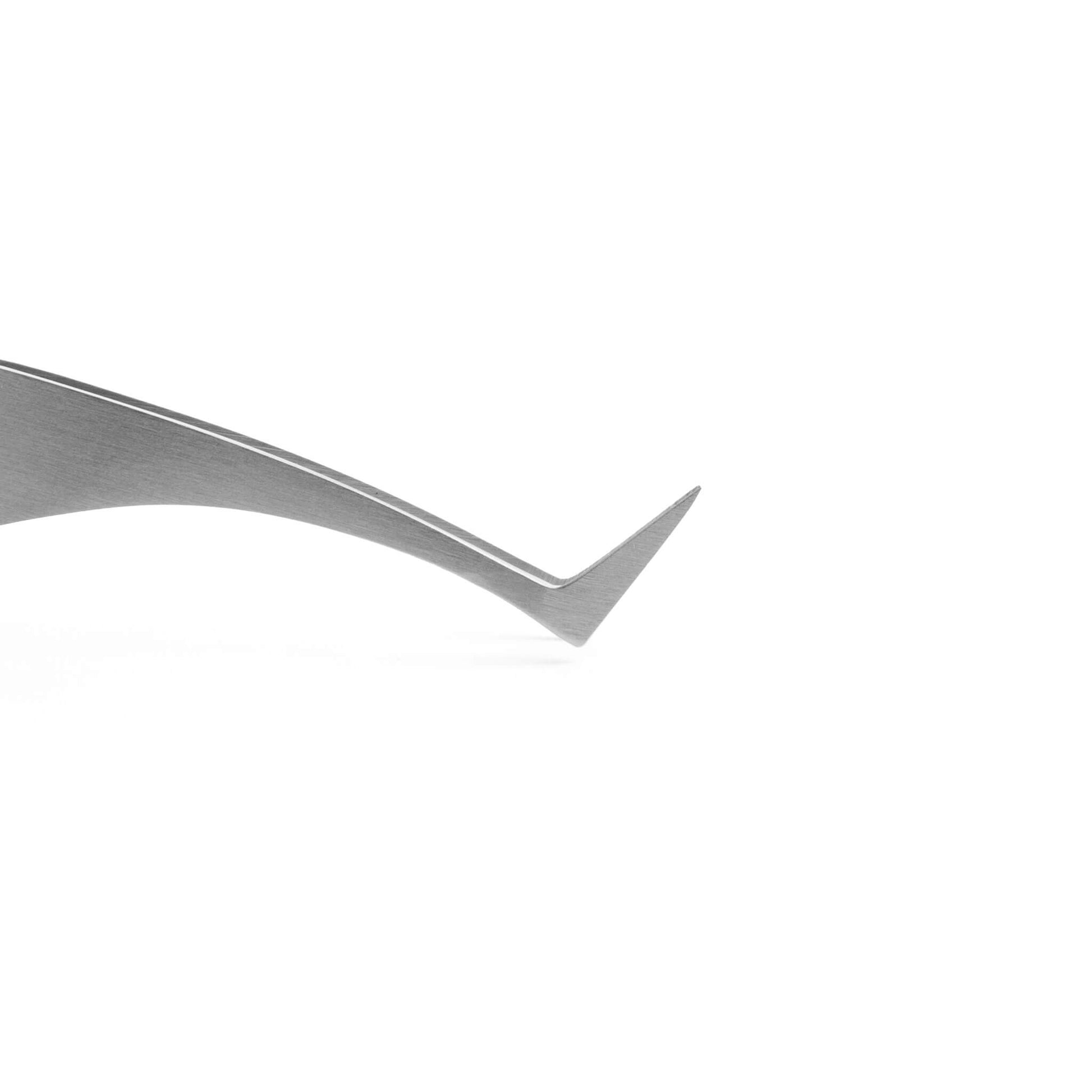 Luxe Silver Volume Tweezers