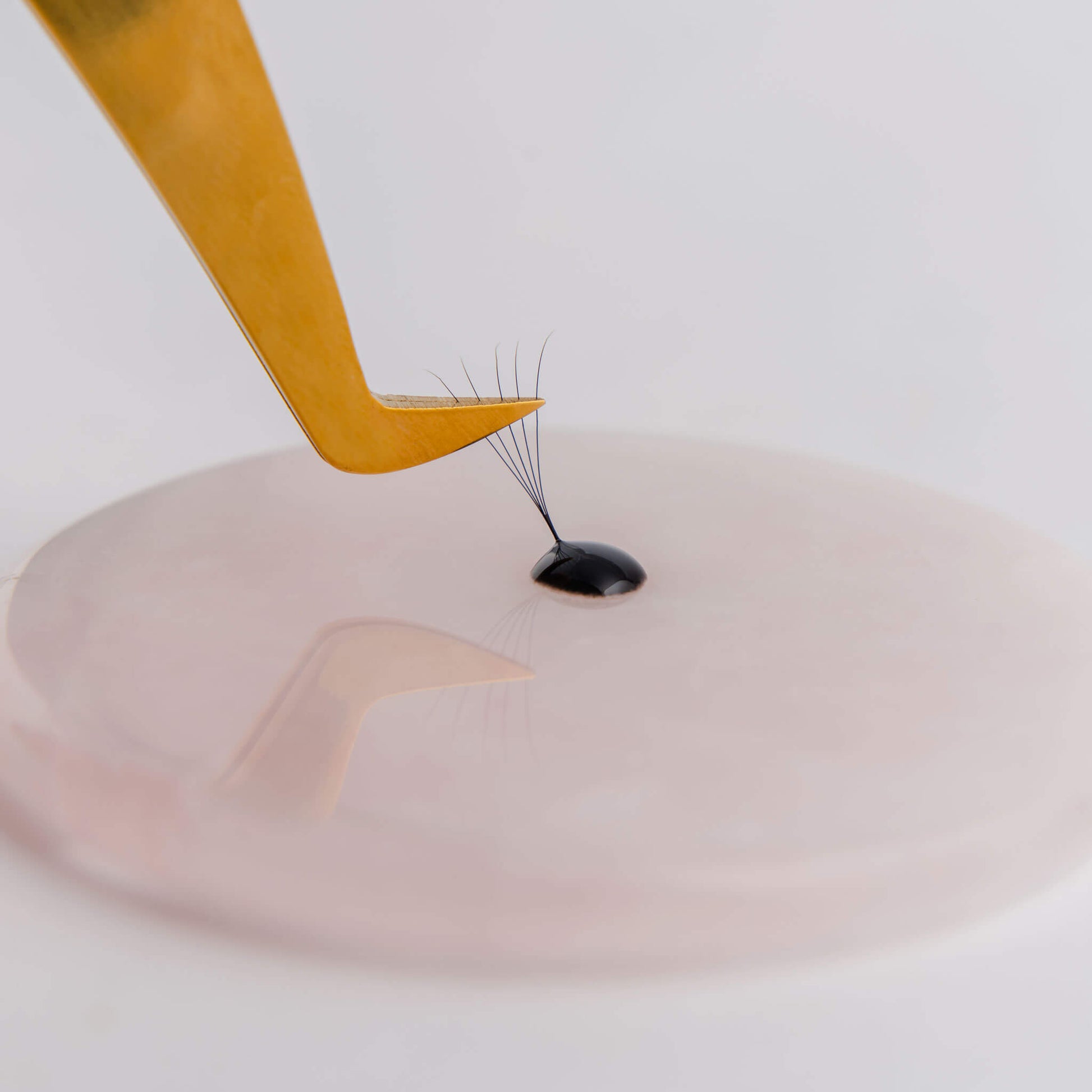 Master Lash Rose Quartz Crystal Stone