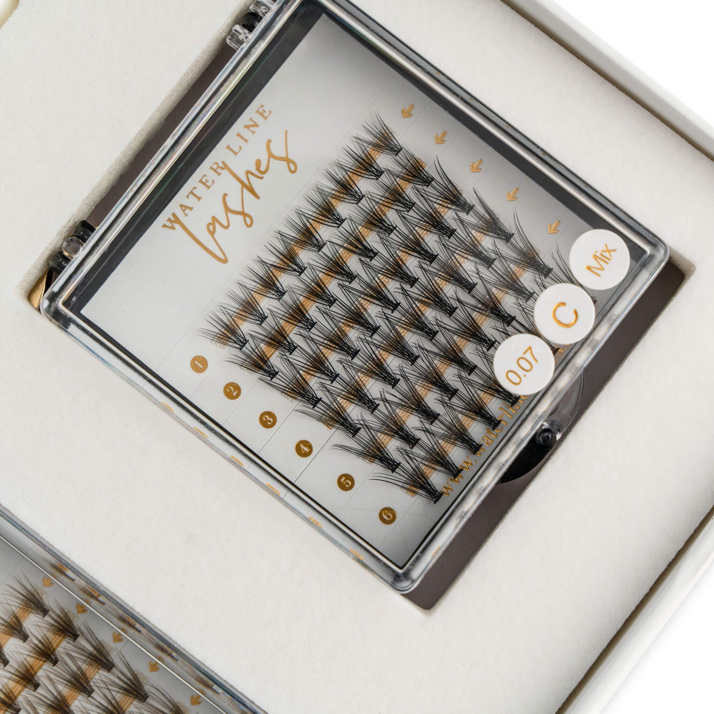 water line lash extensions